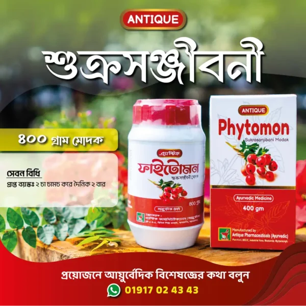 Phytomon 400Gm - Image 2